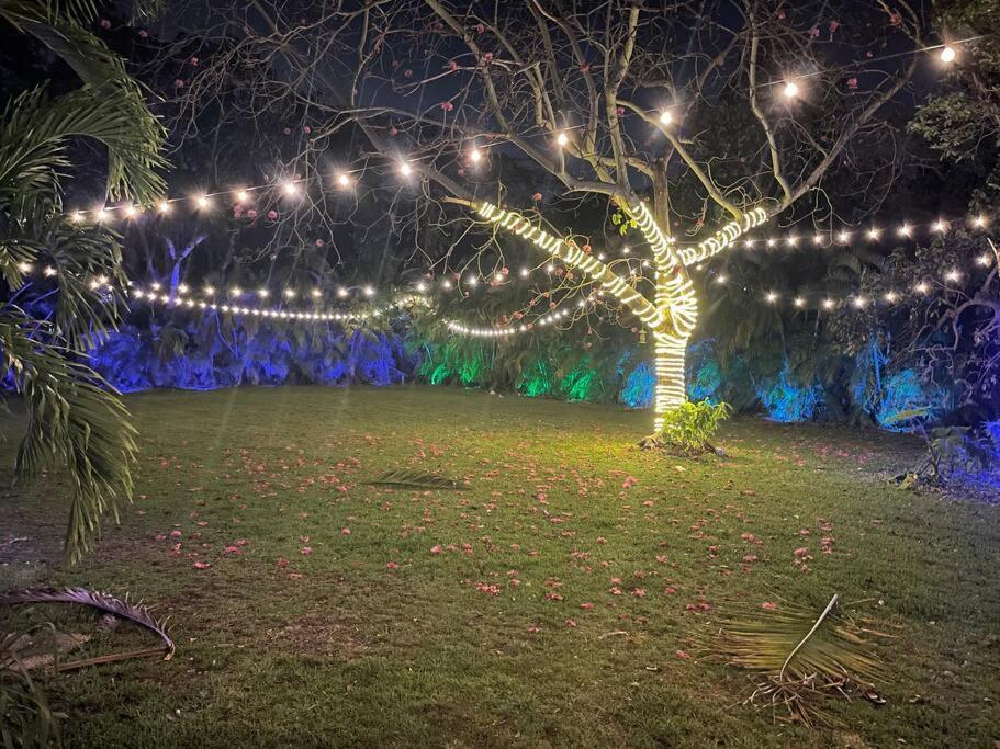 Rare Hidden Getaway Heated Pool 1.5 Acres! Sleeps 16 Villa ฟอร์ต ลอเดอร์เดล ภายนอก รูปภาพ